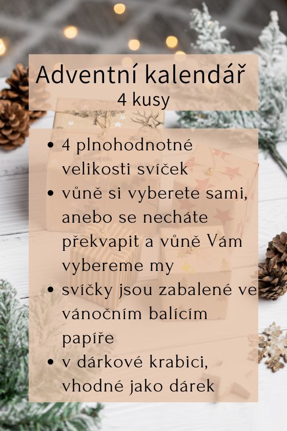 Leadhub 1 fotka 560x (19)